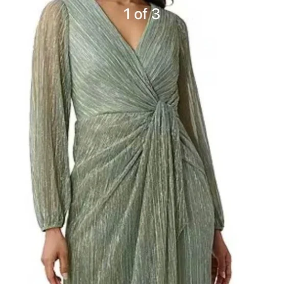 Adriana Papell Woman’s Metallic Mesh Draped Gown - Picture 1 of 5